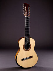 The Brahms Guitar - a fanned fret eight string